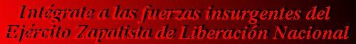Int&eacute;grate a las fuerzas insurgentes del Ej&eacute;ercito Zapatista de Liberacion Nacional